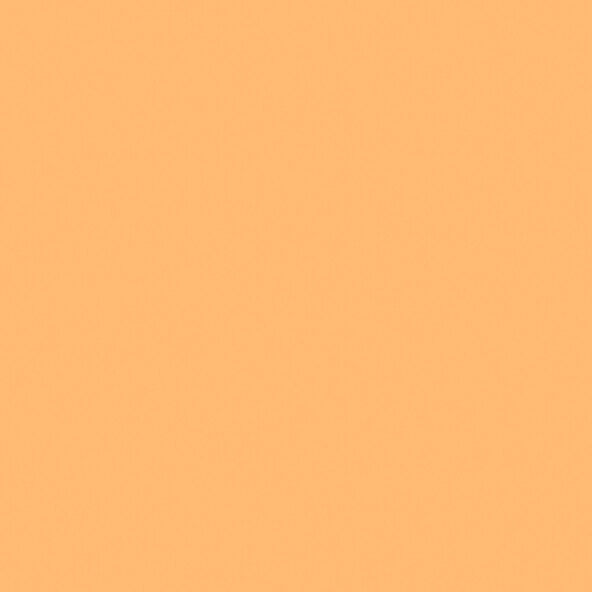 Farbenfreunde No. 4 Fuchsorange, 2,5l