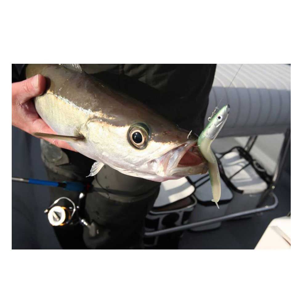 Jig head fiiish crazy sand eel 150 deep 30g (x2)