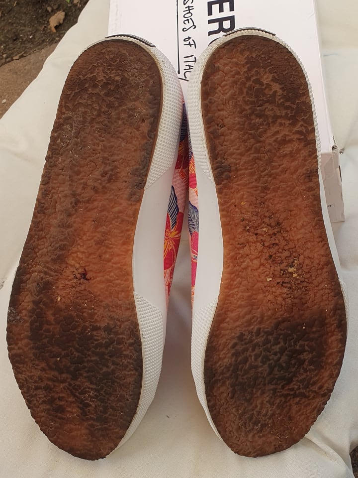 Superga Sneakers 
