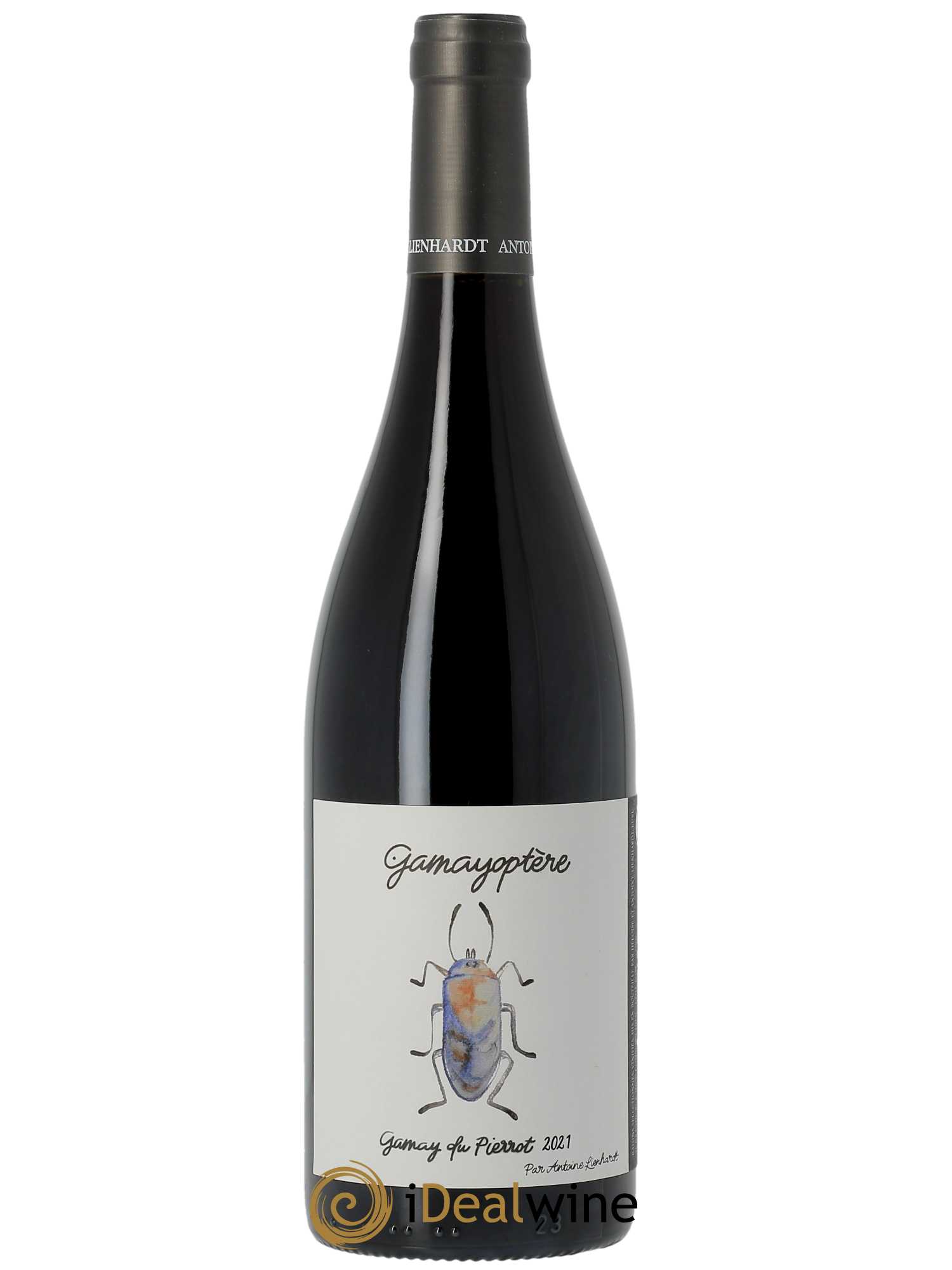 Côteaux Bourguignons Gamayoptère Antoine Lienhardt  2021 - Lot de 1 Bouteille