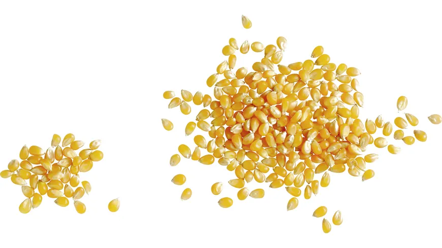 Seeberger Popcorn-Mais 500 g