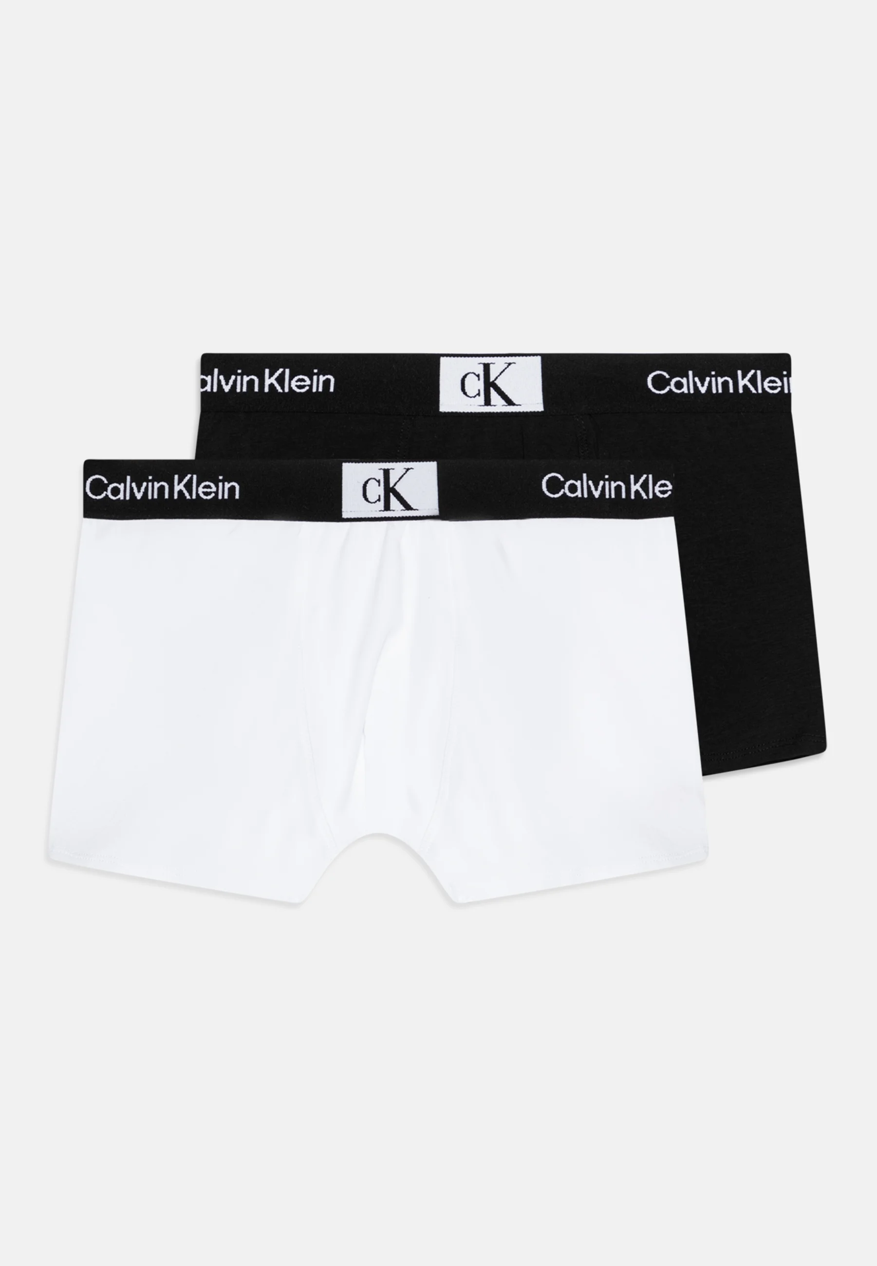 Calvin Klein Underwear TRUNK PACK DE 2 - Culotte