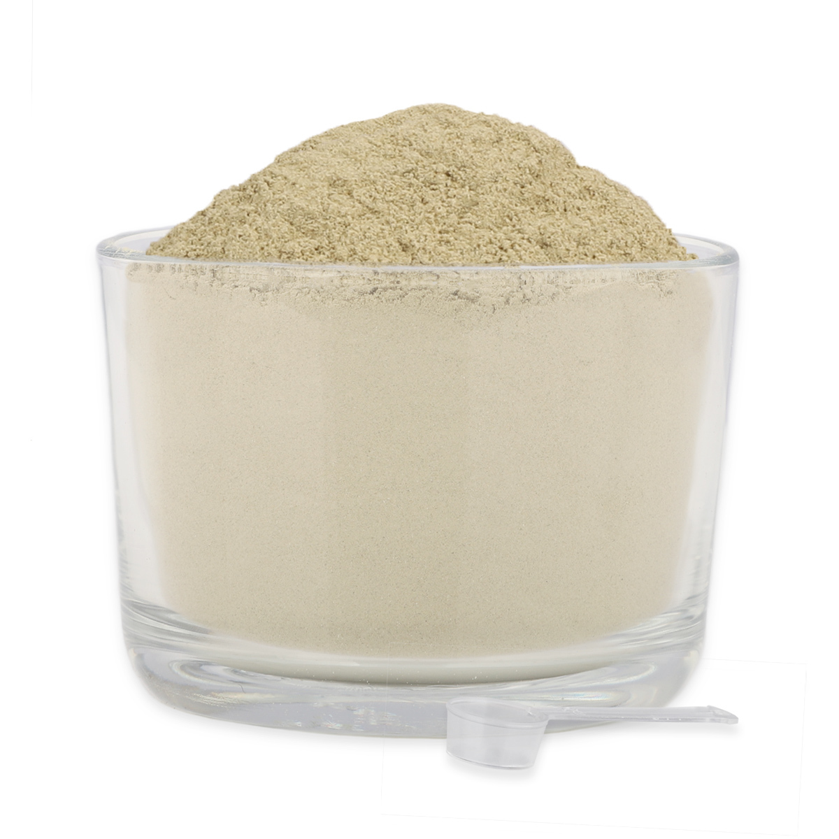 REAVET Ergänzungsfutter & Aufzucht REAVET Magenmild Pulver 50g