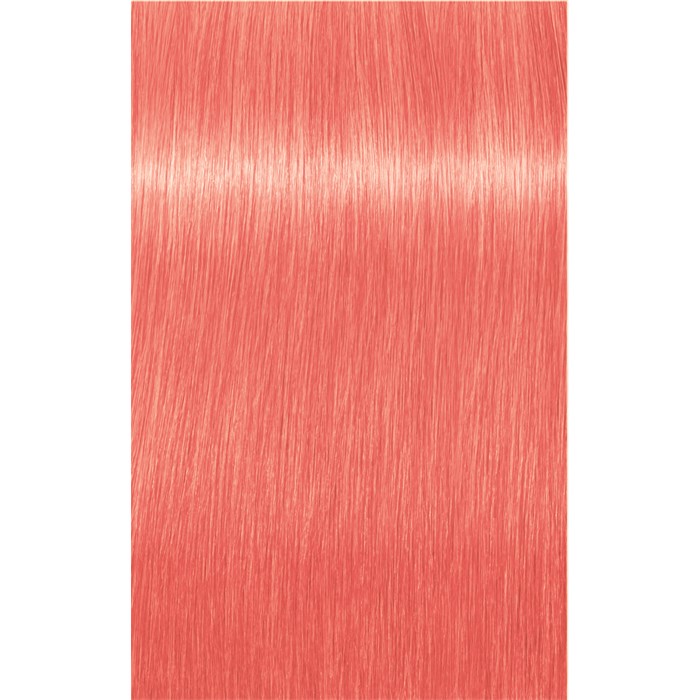 Soft Apricot