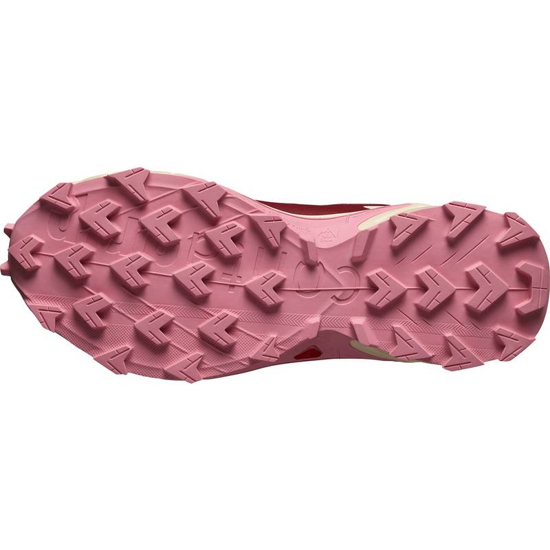 Salomon SUPERCROSS 4 Multifunktionsschuhe Damen