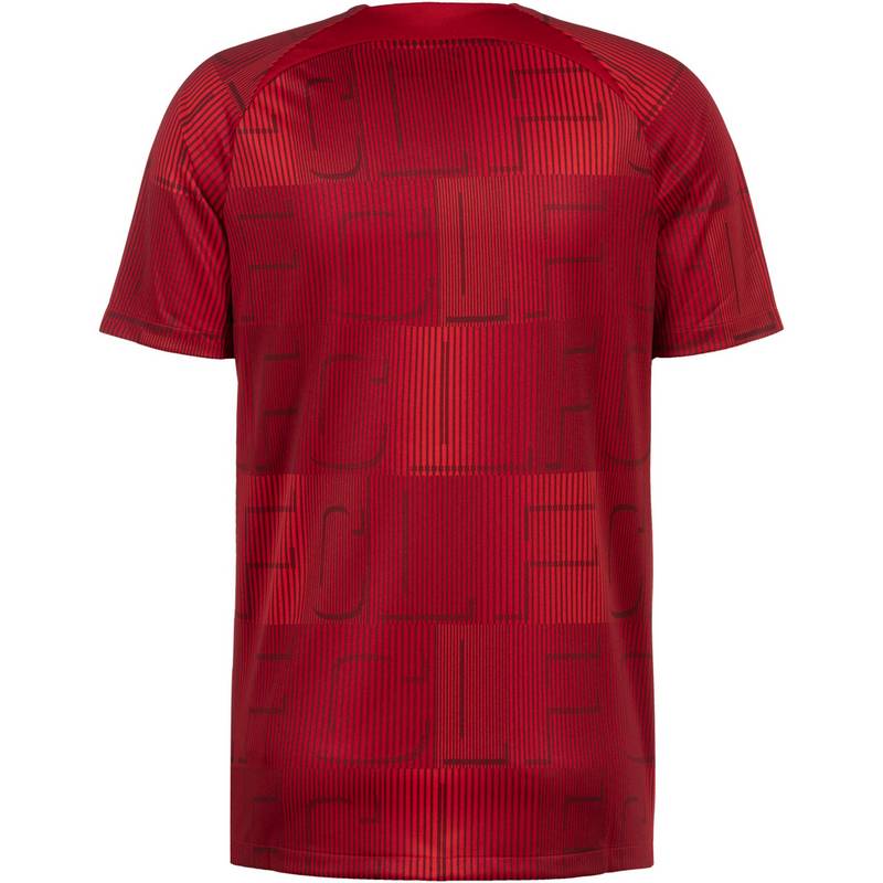 Nike FC Liverpool Prematch Funktionsshirt Herren