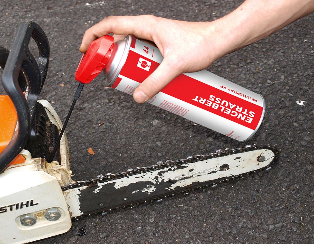 Aktion: 3 + 1 e.s. multispray xp