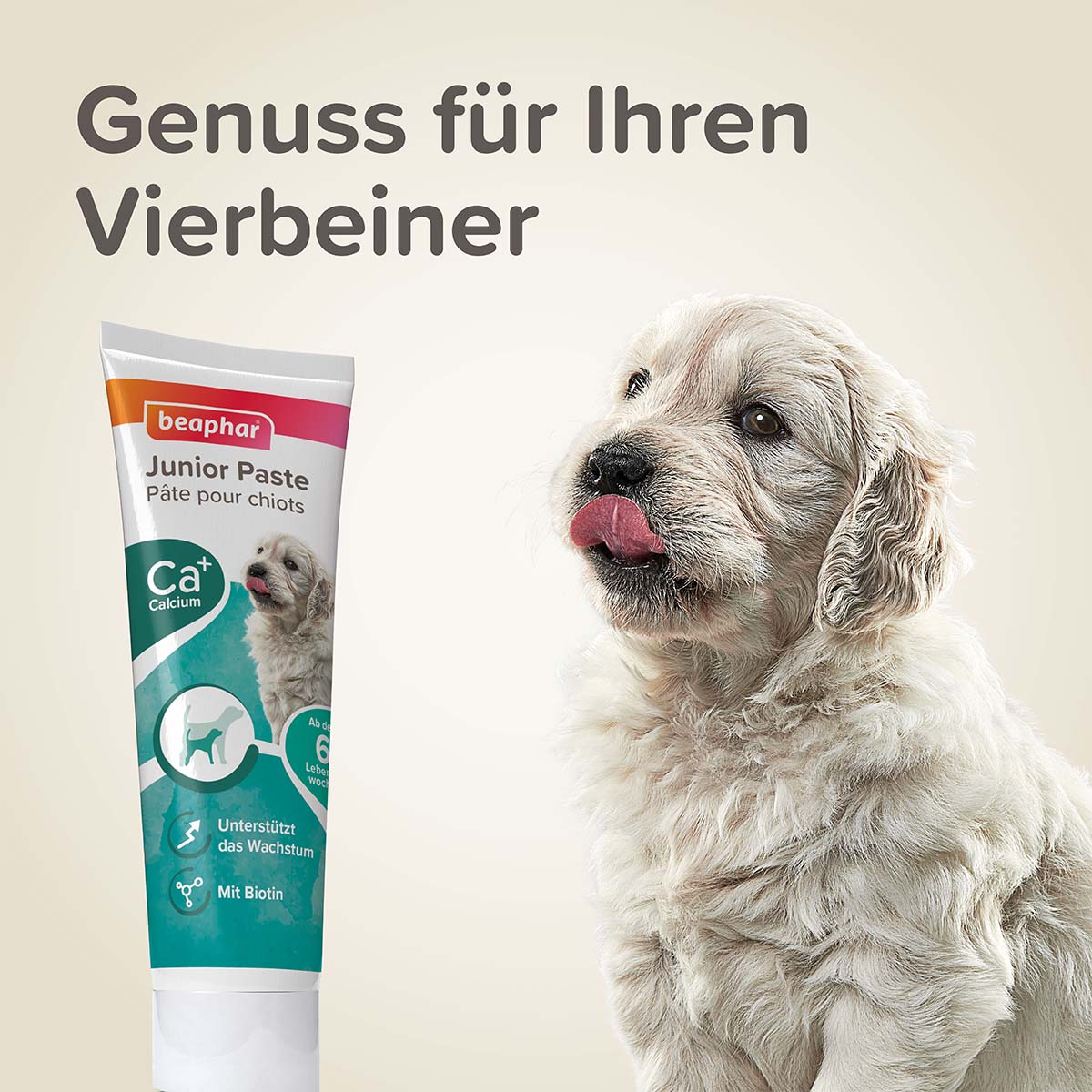 beaphar Junior-Paste für Hunde 100g günstig kaufen bei ZooRoyal