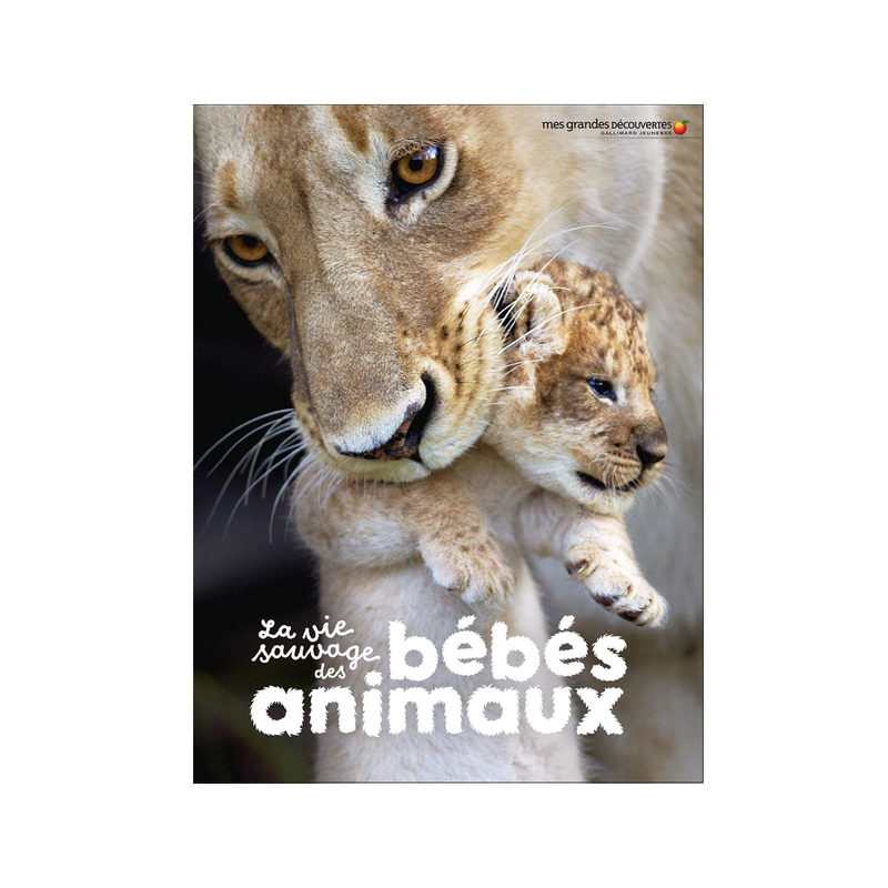 Livre La vie sauvage des bébés animaux - Gallimard Jeunesse