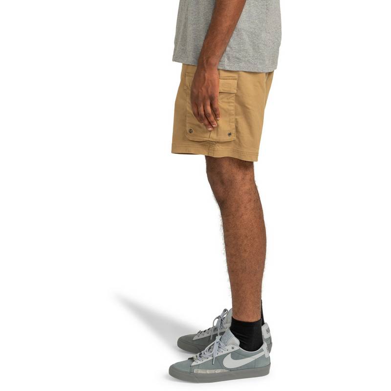 Element Pull Up Travel Shorts Herren