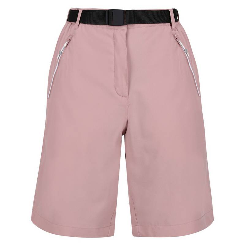 Regatta Xert It Shorts Damen