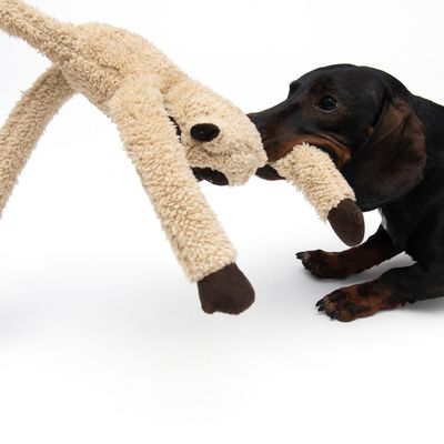 Hundespielzeug King Louiiie