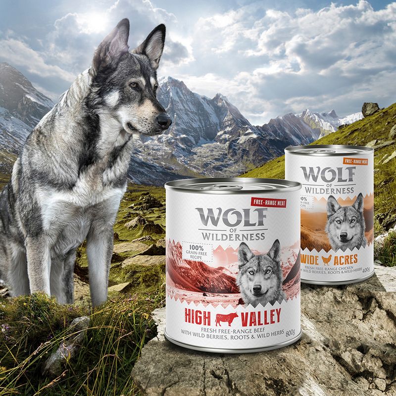 Sparpaket 12 x 800 g Wolf of Wilderness 'Freiland-Fleisch'