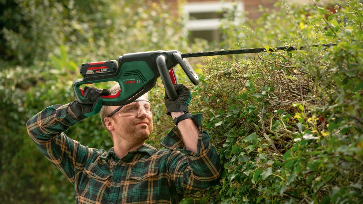 Bosch Green 060084A301 AdvancedHedgeCut 36V-65-28 Akumulatorske trimere za živu ogradu
