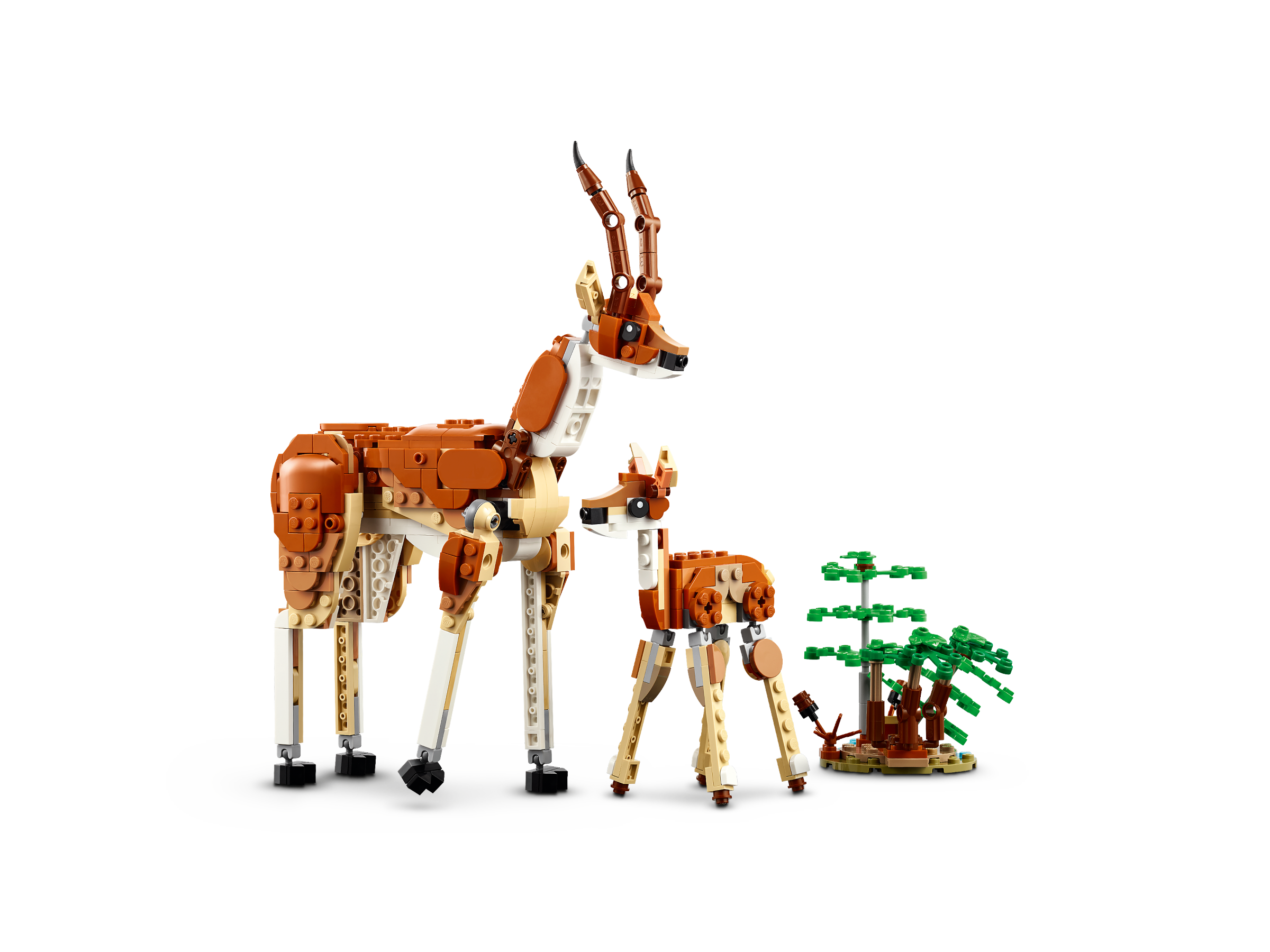 Tiersafari 31150