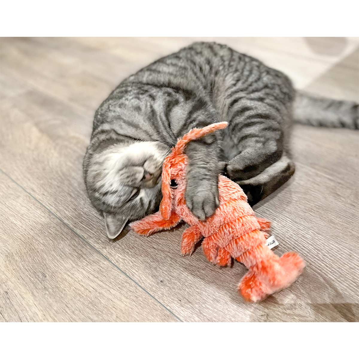Aumüller Katzenspielkissen Zappel-Hummer orange