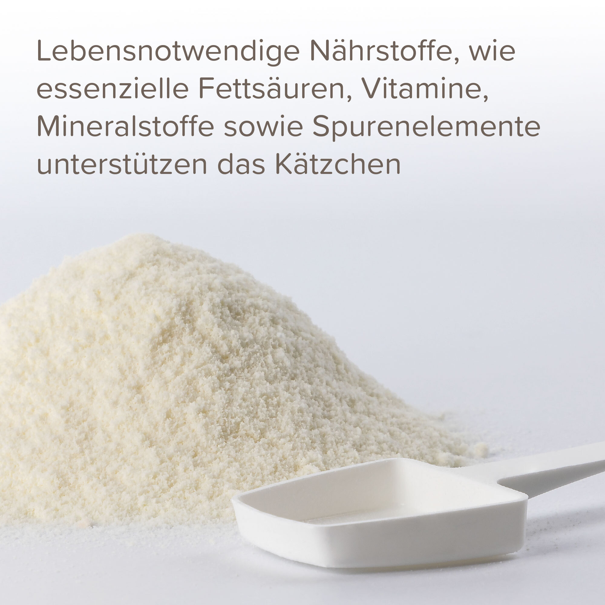 Beaphar Ergänzungsfutter & Aufzucht Beaphar Lactol Aufzucht-Milch 500 g