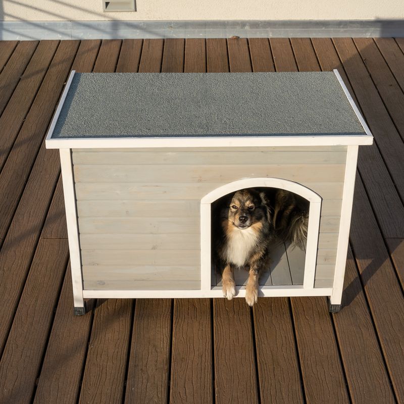 Modern Living Bergen Faltbare Hundehütte zu TOP-Preisen | bitiba