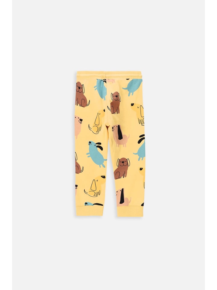 Coccodrillo Sporthose in gelb günstig kaufen