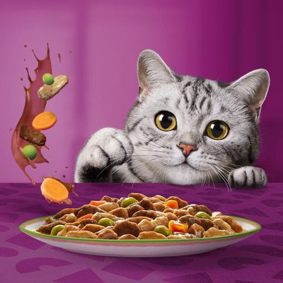 Multipack Whiskas Tasty Mix Portionsbeutel 48 x 85 g