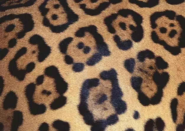 Puzzle 1000 Teile - Challenge Animal Print