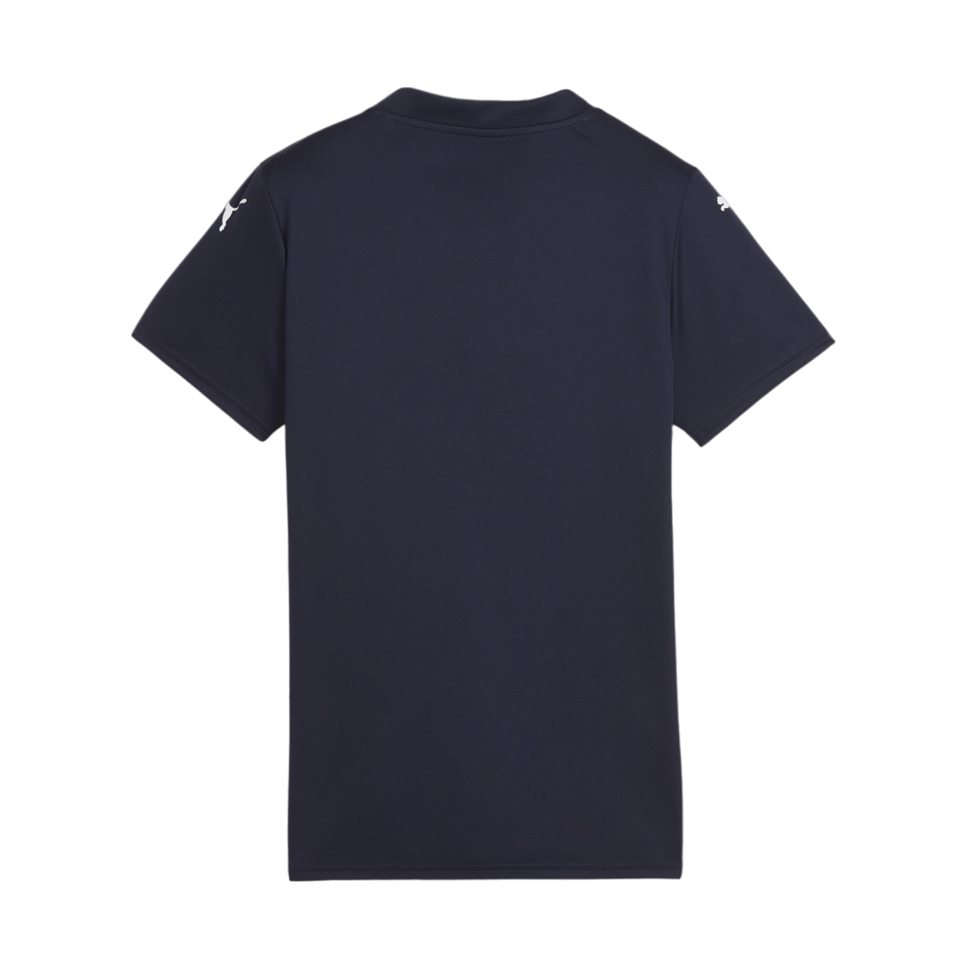 PUMA teamGLORY Trikot Damen Blau Weiss F06