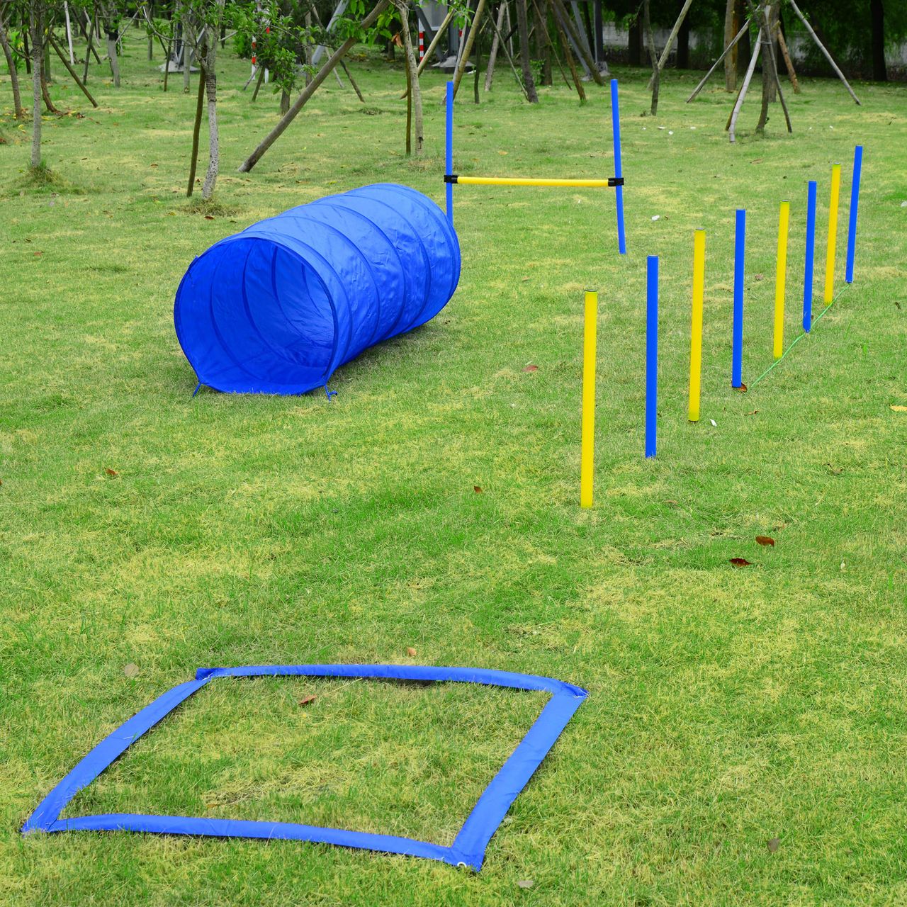 PawHut Hunde Agility Slalom Übung Hundesport Training Reifen Hürde Set 2 Modelle