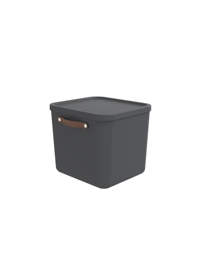 Rotho Aufbewahrungsbox mit Deckel 40 l MALOJA in Holzkohle schwarz ged. günstig kaufen onesize