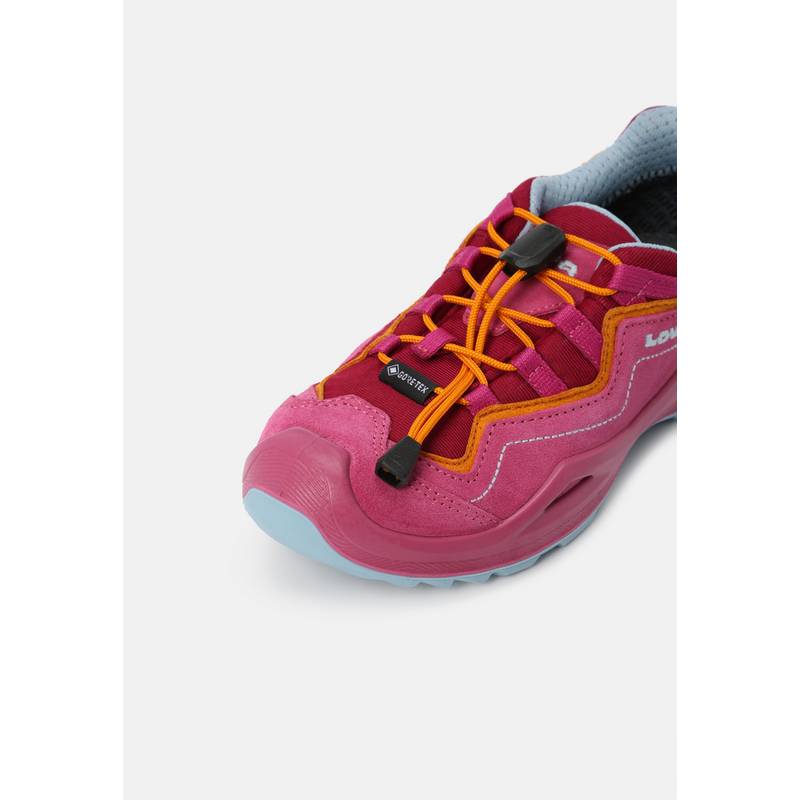 Lowa ROBIN EVO GTX LO Wanderschuhe