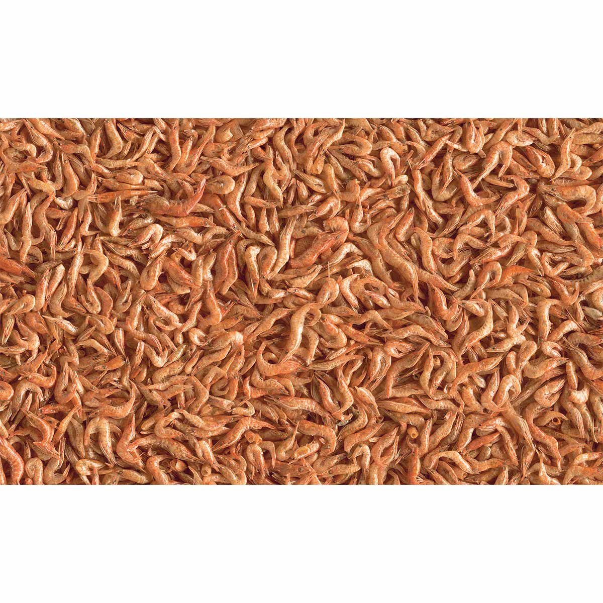 Tetra Wasserschildkrötenfutter ReptoDelica Shrimps 1L