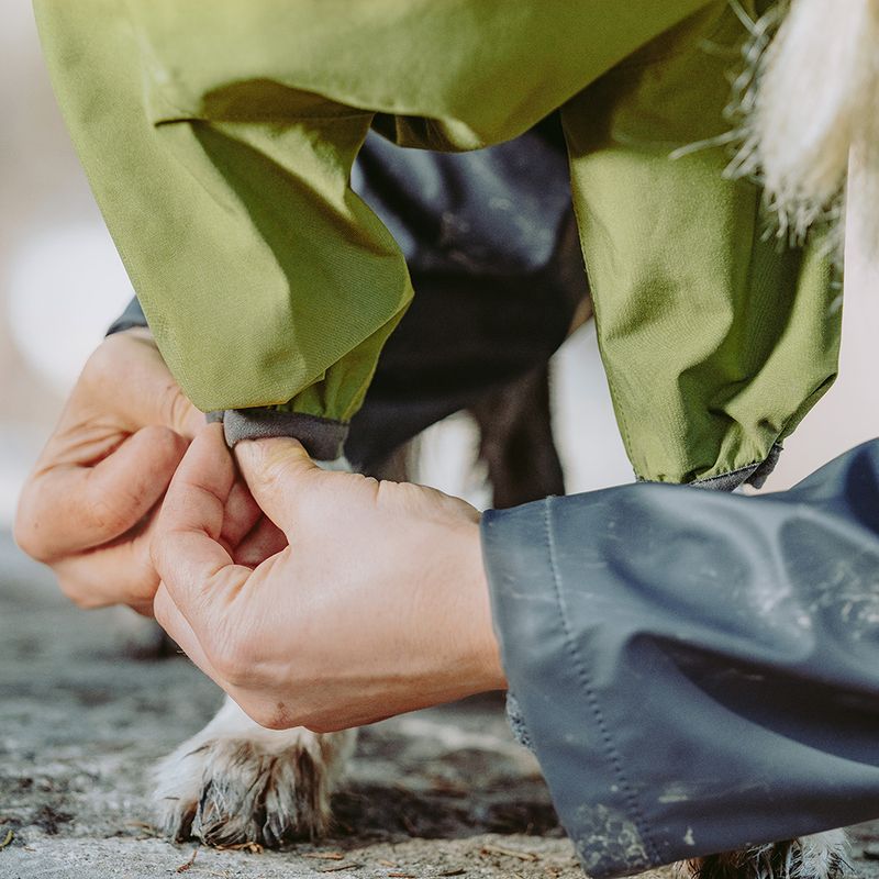 Hurtta Bare Regenoverall Pine zu TOP-Preisen