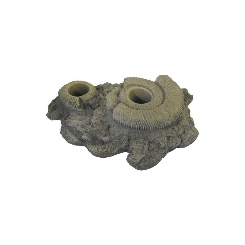 Variogart Dekoration Variogart Fossilien groß