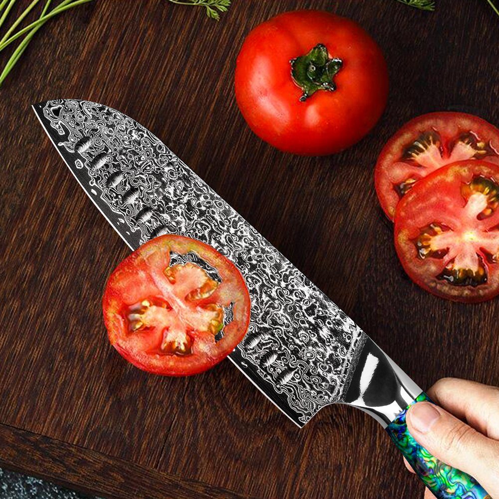 KEENZO Damastmesser Santoku-Messer aus 67 Lagen VG10 Damaststahl Abalone-Muschel Griff