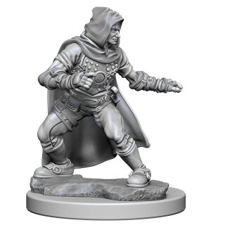 Human Male Rouge: Pathfinder Deep Cuts Unpainted Minis
