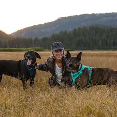 Ruffwear Front Range Hundegeschirr, Aurora Teal