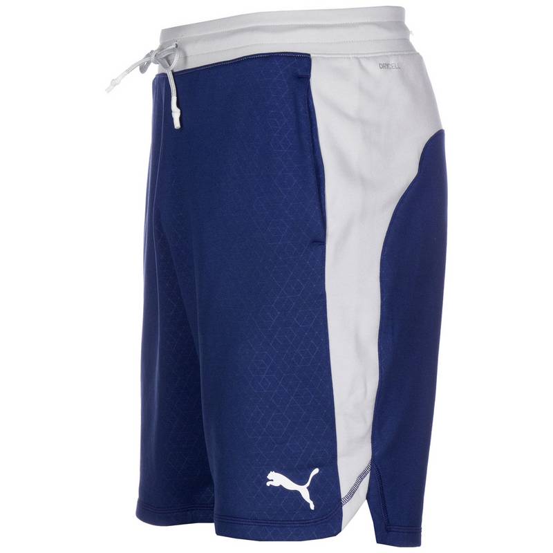 PUMA Train Activate Shorts Herren