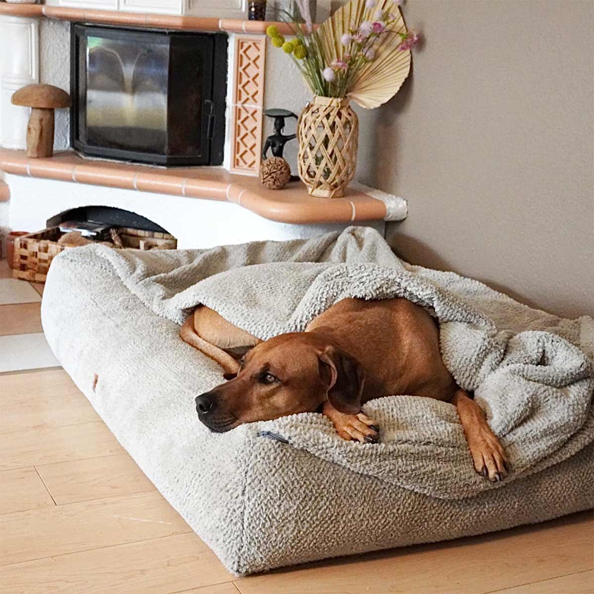 Frau Frauchen Hundebett Letto Dots günstig kaufen bei ZooRoyal