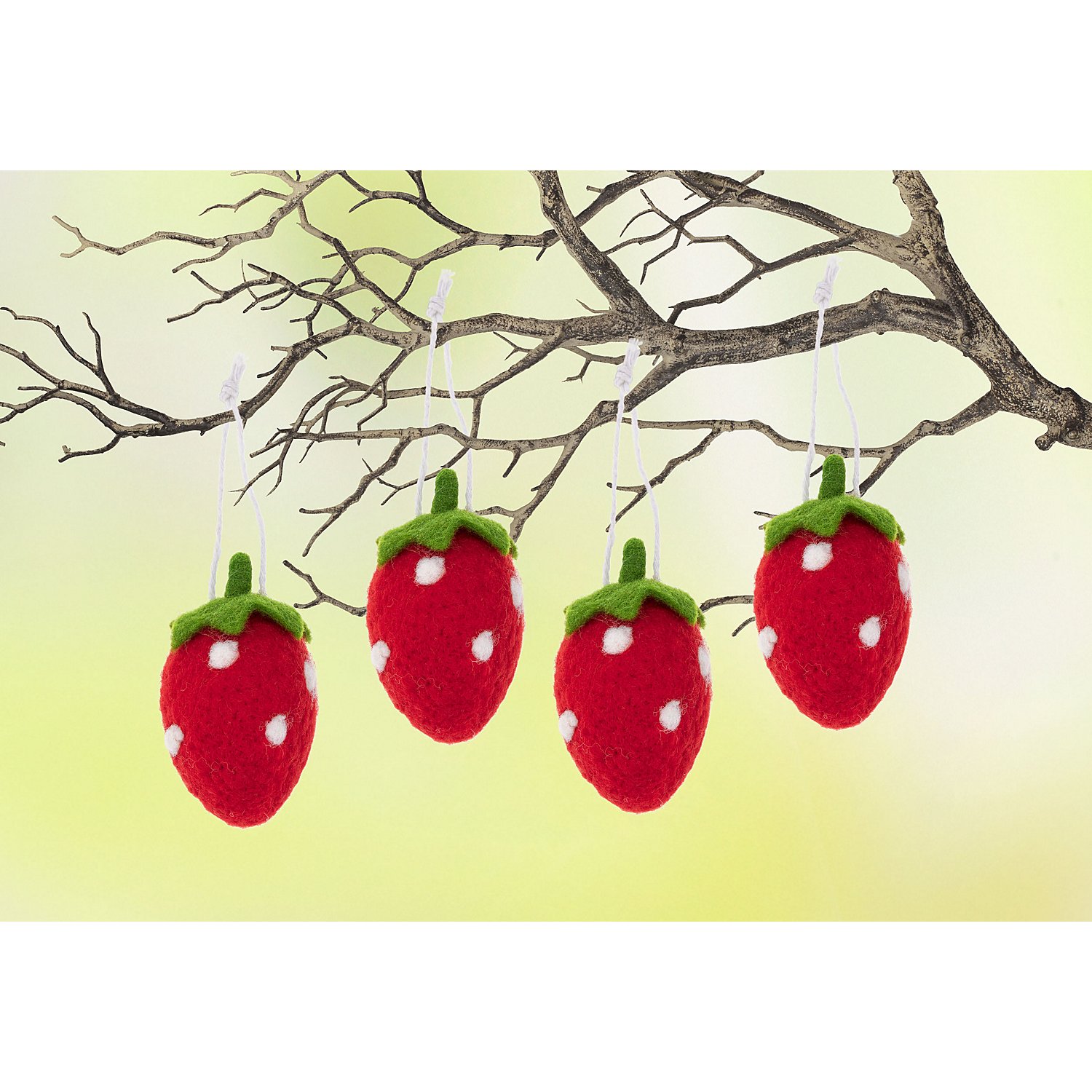 Erdbeeren, 10 cm