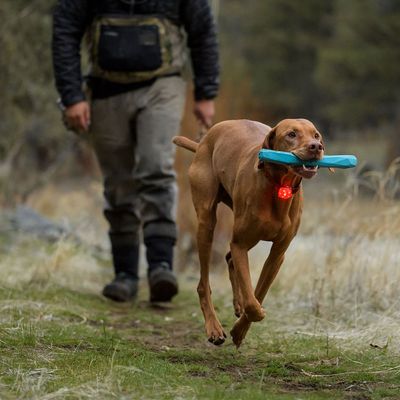 Ruffwear The Beacon™ Safety Light