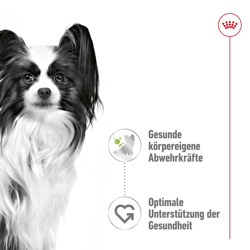Royal Canin X-Small Adult in Soße
