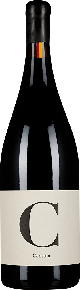 Burgenland Centum – Jahrhundertwein Magnum 2021 in Holzkiste