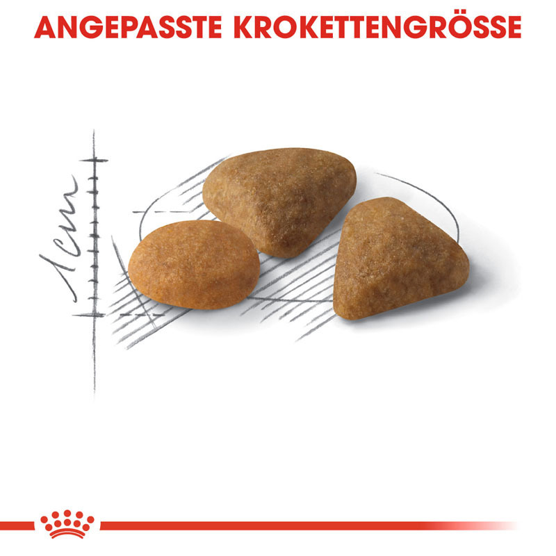 ROYAL CANIN Trockenfutter ROYAL CANIN Savour Exigent 4 kg
