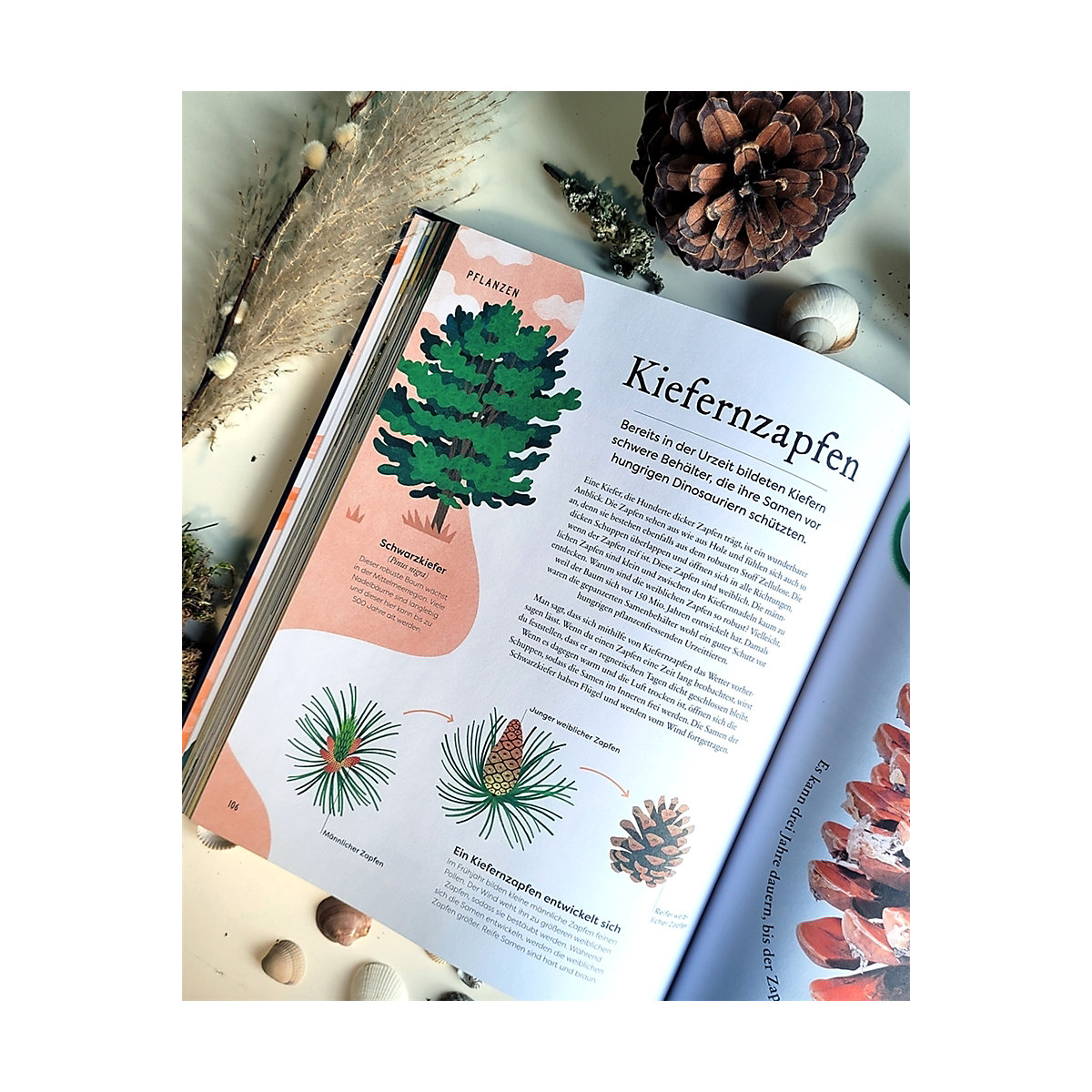 Große und kleine Schätze der Natur
