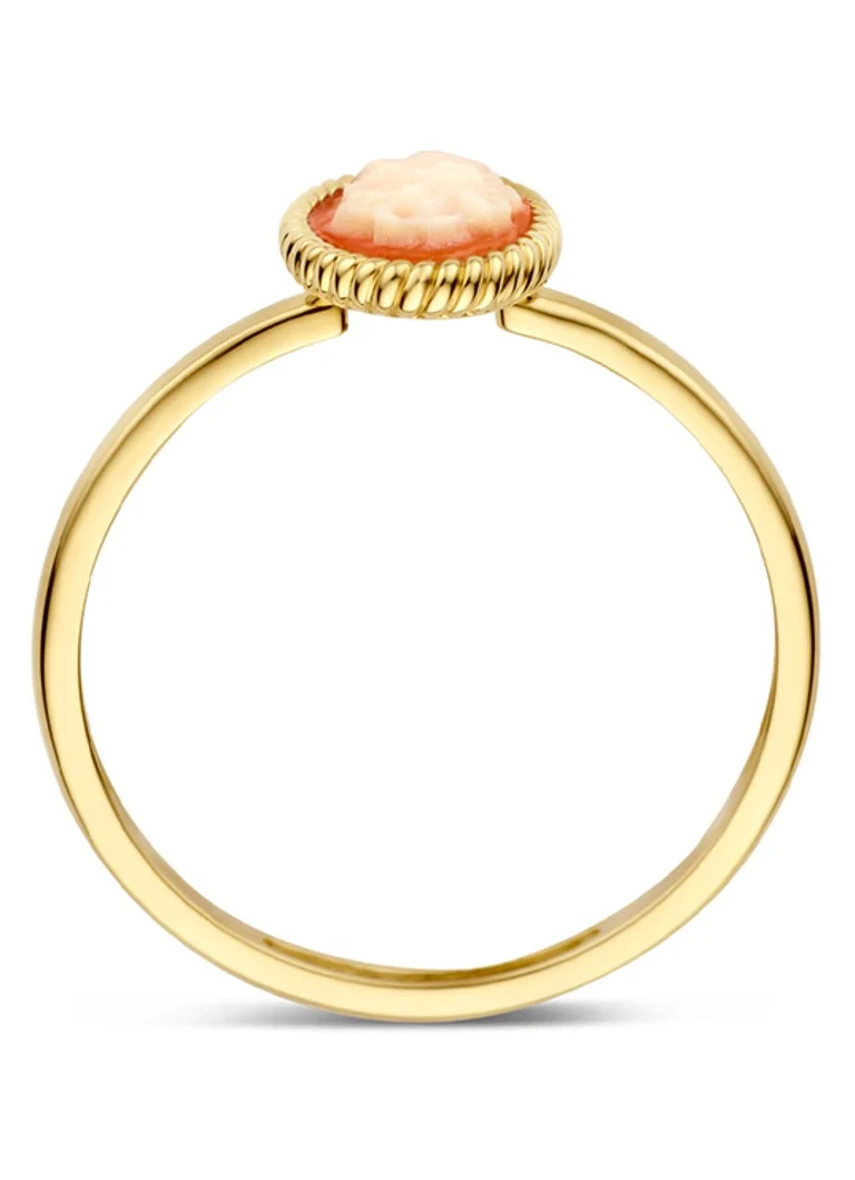 Blush Ring of 14 carat yellow gold with stone 1250YCA