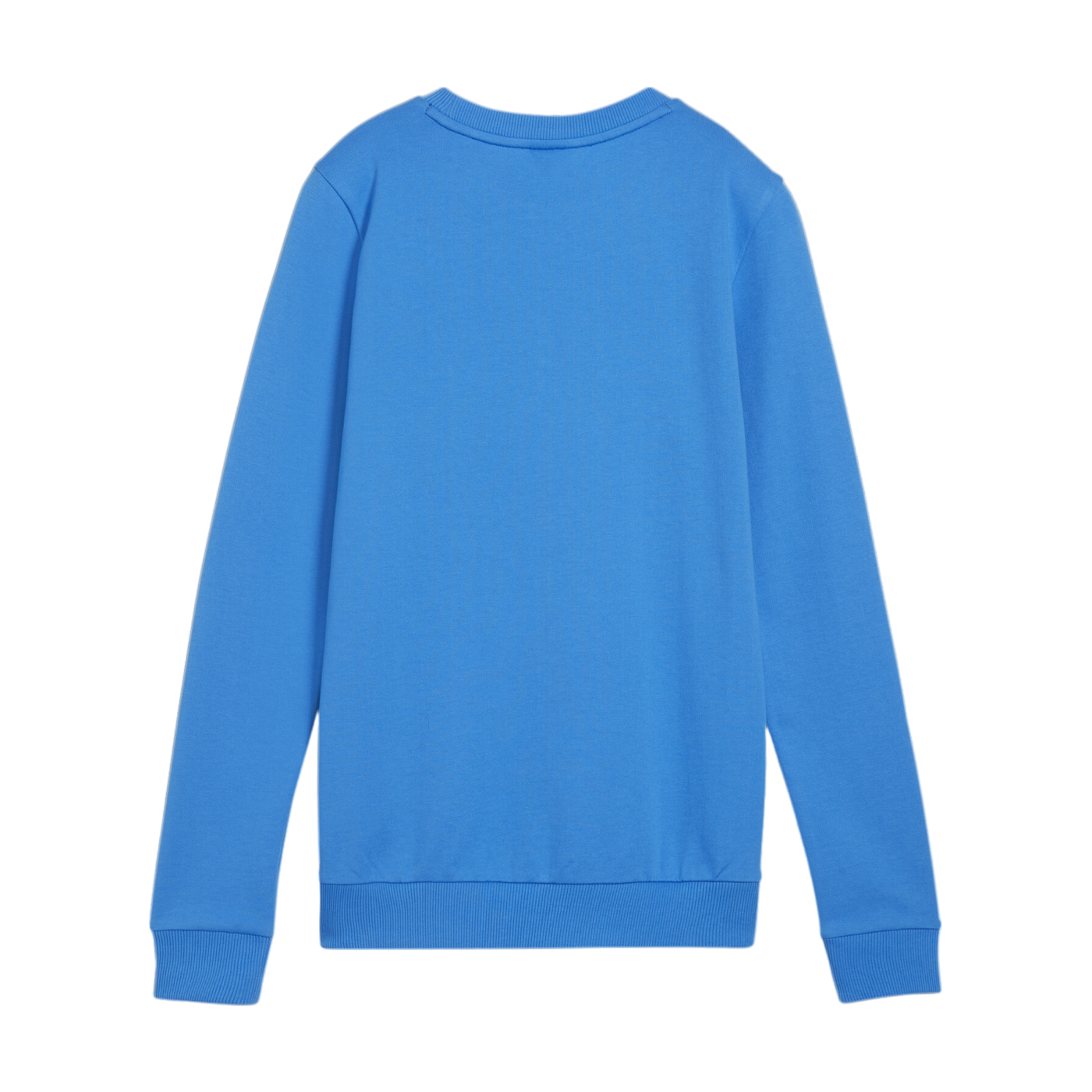 PUMA teamGOAL Casuals Sweatshirt Damen Blau F02