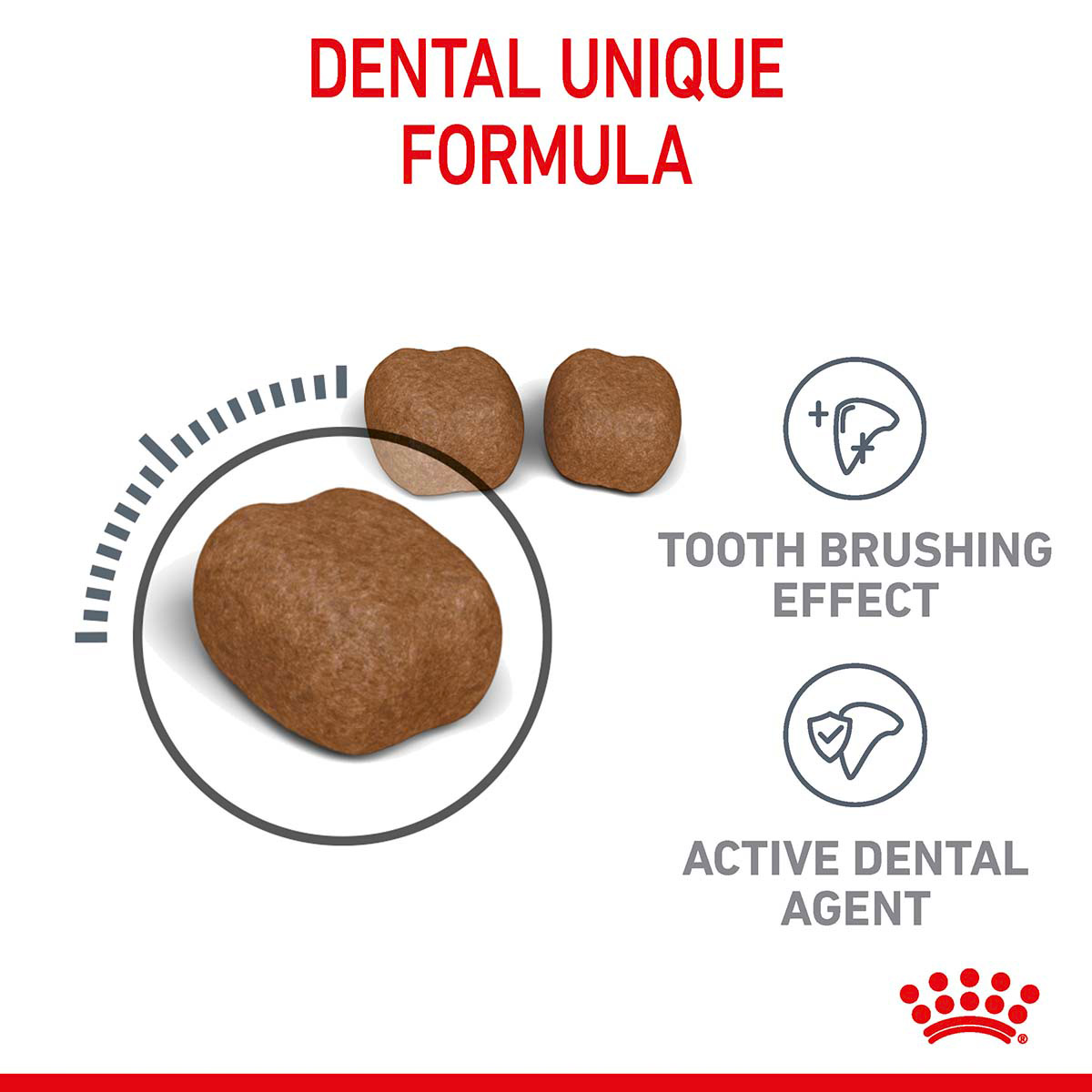 Royal Canin FCN Dental Care günstig kaufen