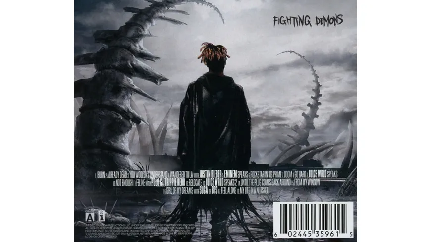 Fighting Demons