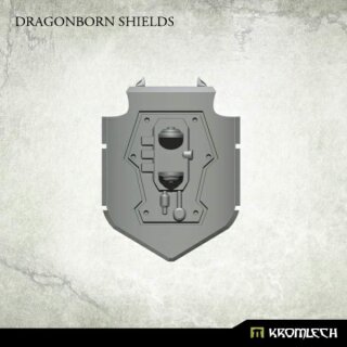 Dragonborn Shields (5)