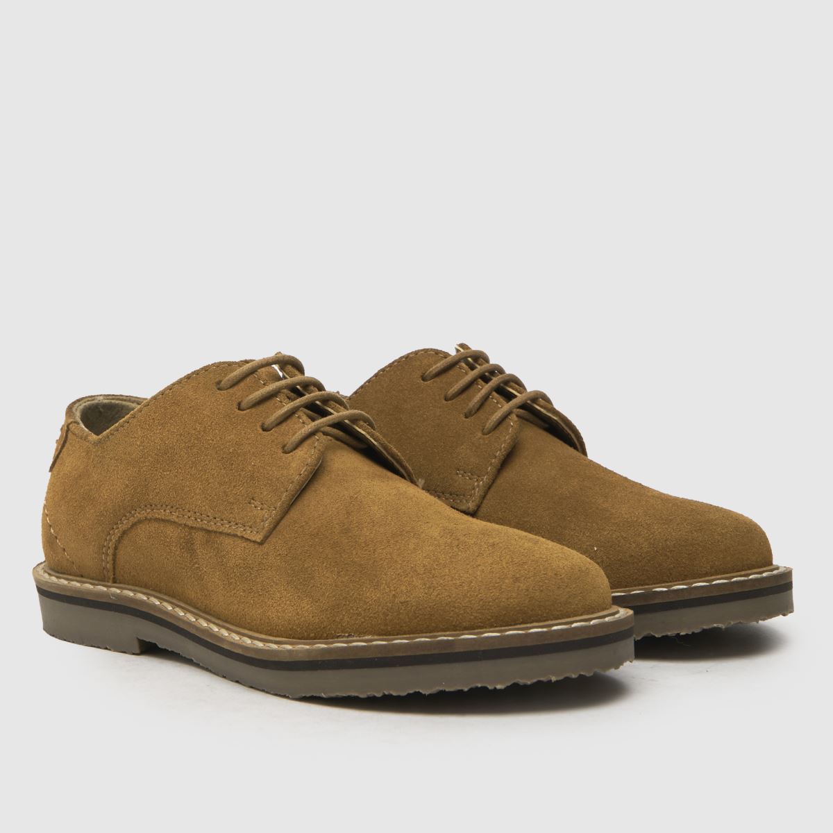 Schuh Tan Link Suede Derby Pojkar Småbarnsskor
