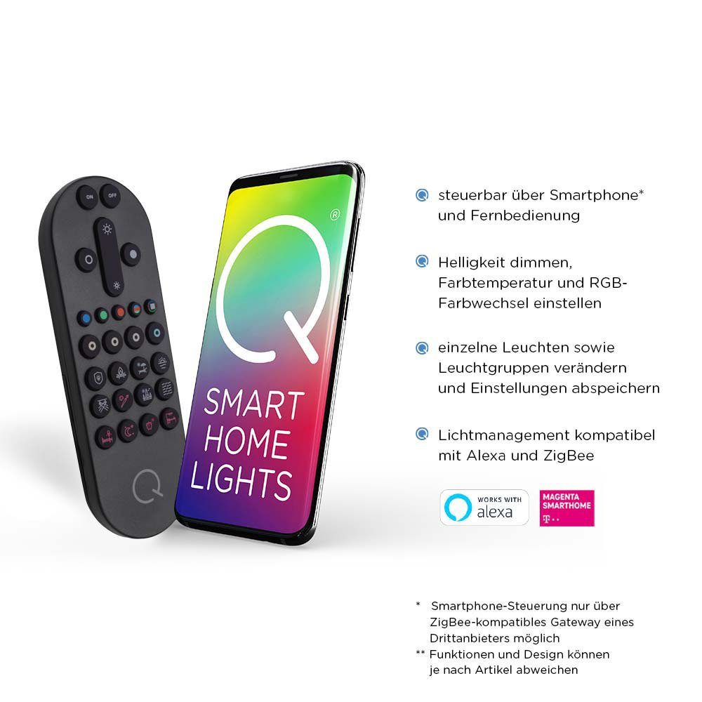 Paul Neuhaus Smarte LED-Leuchte LED Pendellampe Q ETIENNE Smart Home, Smart Home, CCT-Farbtemperaturregelung, RGB-Farbwechsel, Dimmfunktion, Memoryfunktion, mit Leuchtmittel, dimmbar Fernbedienung höhenverstellbar CCT Pendel